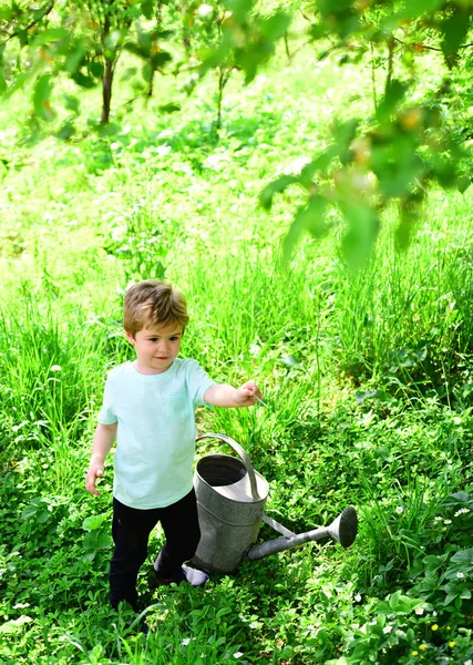 Yeşil Bahçe Küçük Yardımcısı Bahçe Aletleri Yakınındaki Küçük Çocuk Çim — Stok fotoğraf