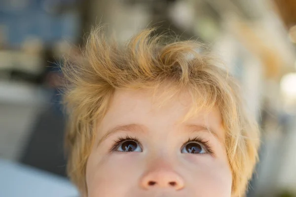 Interesado Rostro Niño Ojos Marrones Cabello Rubio Niño Adorable Emociones —  Fotos de Stock