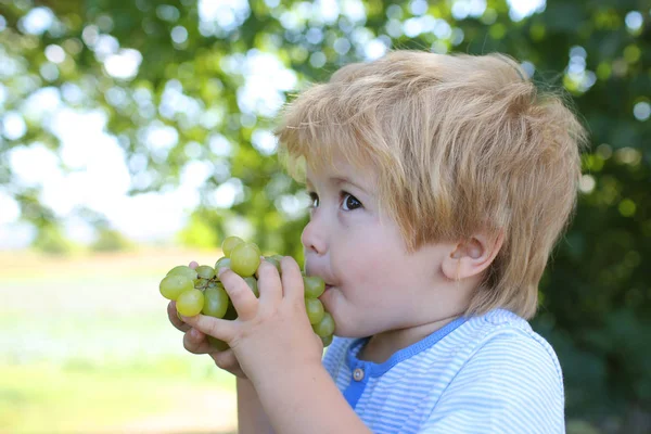 Ieating Grapes Great Time Spending Eating Fruits Listens Usefulness Fruit — Stock Photo, Image