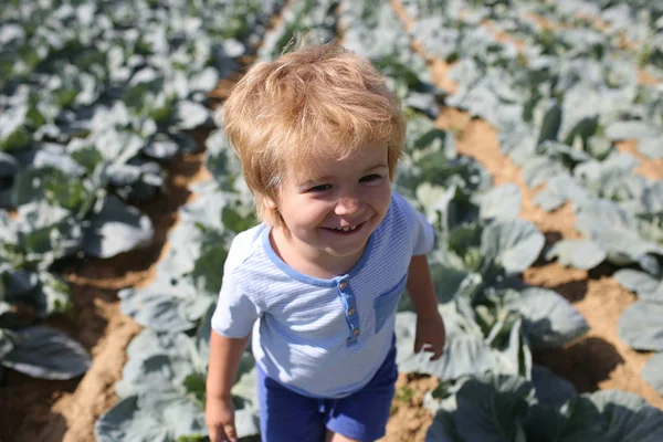 Chico Riendo Jardín Ayuda Niño Pequeño Propietario Cuidado Las Plantas — Foto de Stock