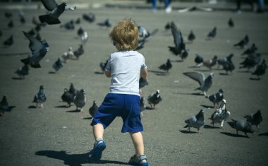 Parkta yürüyüş ve yaz gününde güvercin besleme yürümeye başlayan çocuk. Çok sayıda güvercin sokak akın neşeli sarışın çocuk için. Avrupa kenti Turizm