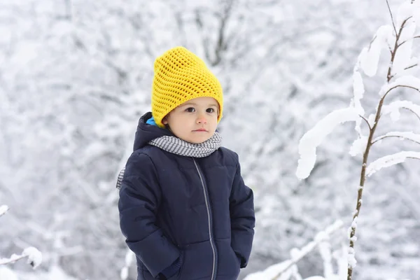 Замороженный Маленький Мальчик Лесу Холодная Зима Морозное Время Внешних Игр — стоковое фото