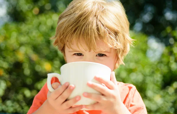 ミルクティーのカップ 子供は 大きな白いセラミック カップで飲みます 健康のための自然な飲み物 食べ物や子供の飲み物 健康的な食事 赤ちゃん子供用の液体 — ストック写真