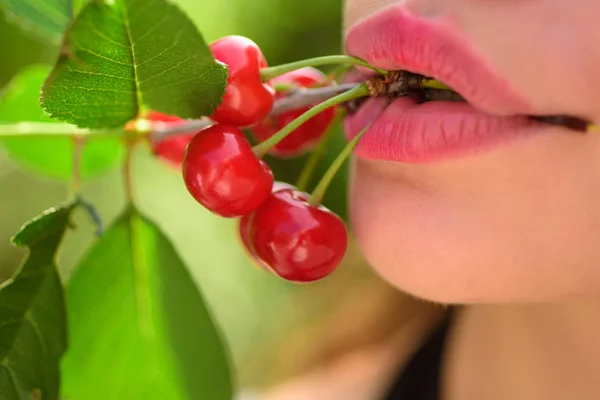 Concept Bio Vegan Jeune Femme Déguste Cerise Arbre Dans Jardin — Photo