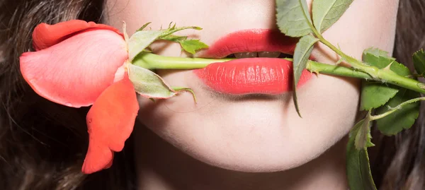 Passione Bocca Ragazza Con Rosa Rossa Tra Labbra Desiderio Femminile — Foto Stock