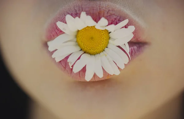 Cosméticos Flores Conceito Natural Margarida Branca Boca Uma Jovem Vegan — Fotografia de Stock