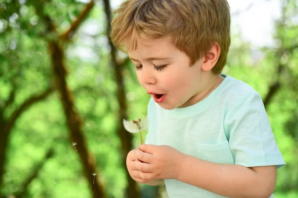 Schönes Kind Mit Löwenzahnblüte Frühlingspark Glückliches Kind Das Spaß Freien — Stockfoto