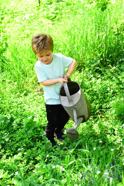 Pequeño Niño Derramando Agua Sobre Hierba Verde Bajo Los Árboles — Foto de Stock