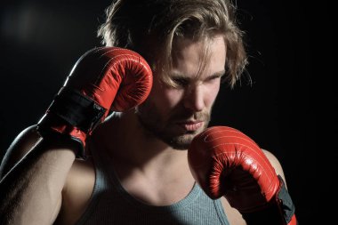 Boksör yakın çekim, sakallı genç çekici bir adam. Ciddi erkeklerde kırmızı boks eldivenleri mi hazırlanıyorsun. Boks eldivenleri ile serin genç adam. Çekici adam boksör portre siyah arka plan üzerine
