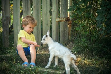 Çocuk bir çiftlikte küçük keçi beslenir. Köyde Evcil hayvan. Mutlu sağlıklı çocukluk. Hayvan arkadaş. Geliştirme ve eğitim doğada. Alternatif eğitim. Bir küçük çiftçi veya hayvan hastalıklarıyla ilgili