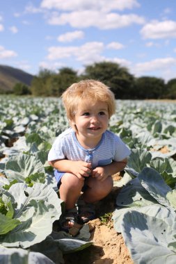 Lahana çocuk. Nasıl çocuk için nasıl doğduğu açıklamak için. Güzel bir gelenek, lahana bul çocuk. Çiftlikte sebze alan, sonbaharda hasat üzerinde oturan çocuk