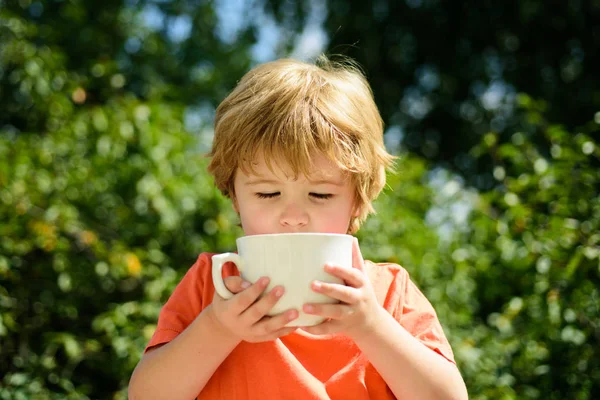 おいしい飲み物 少年は お茶会とお茶を飲む庭でカップからを果たしています 屋外楽しんで素敵な子 ファームでヘルシー ミルク — ストック写真