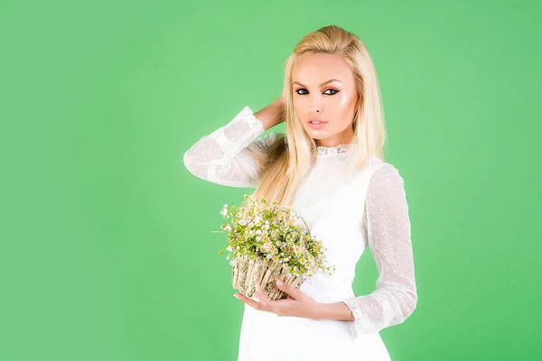 Chica con margaritas. Belleza y moda. Primavera y hermosa mujer sobre un fondo verde. Naturaleza, cosmética natural. Concepto orgánico . —  Fotos de Stock