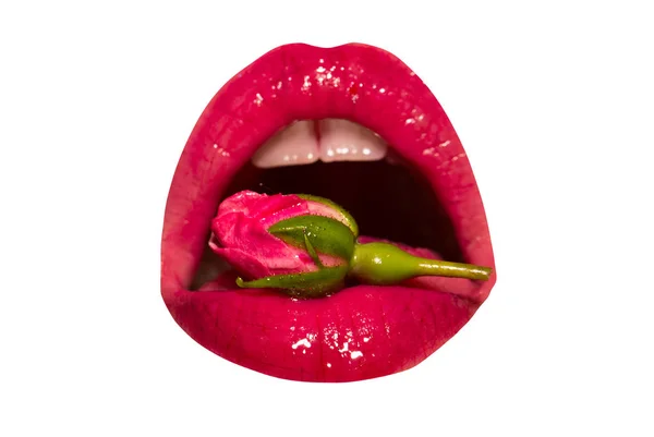 Cosmética natural, rosa en la boca. Hermosos labios rosados brillantes con lápiz labial y brillo. Una chica sostiene una hermosa flor en su boca. Vegano, mermelada de rosas, glamour y tienda de cosméticos de moda — Foto de Stock