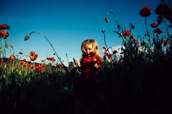 Beautiful child baby in poppies, a big world for a small child kid. Traveling in nature. The boy walks through the green summer field with flowers. Poppy and red color — Stock Photo, Image