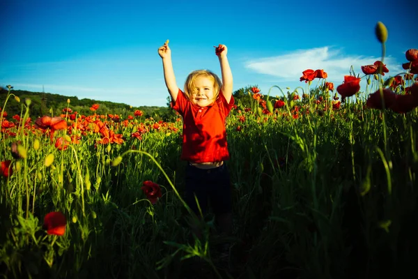 自然バック グラウンドで幸せな子供。赤い花ポピーの背景に赤い t シャツを着た男の子は彼の手を引き上げた。幸せな子供時代、かわいい子、美しい顔、幸せな感情、子供たちの笑顔 — ストック写真