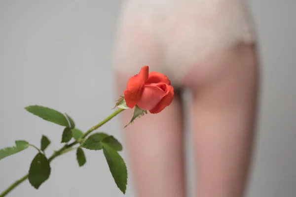 Una donna si alzò. Primo piano del corpo femminile in forma indossando mutandine strette. Isolato su sfondo. natiche sfocate. Salute delle donne. Culo e fiori . — Foto Stock