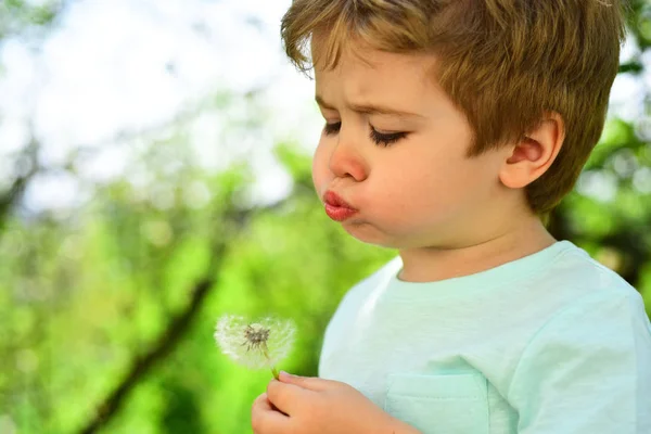 Cute spring child. Kid in the spring garden. Polinoz, bloom allergy. A boy blowing on a dandelion. Breathing exercises for the lungs.