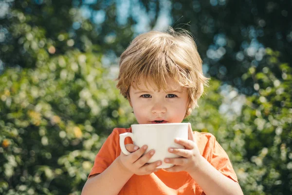 Ребенок с чашкой. Ребенок пьет из чашки. Мальчик с молоком или чаем. Здоровый завтрак на природе . — стоковое фото