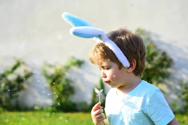 Sommerstimmung. junger Entdecker draußen im Park. Niedliche Kind bläst auf Löwenzahn und streut Blumen Samen. Blasübungen zur Entwicklung der Atmung in jungen Jahren. Naturraum zum Spielen mit Kindern — Stockfoto