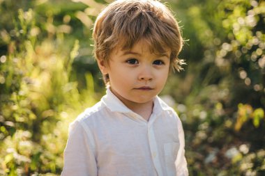 Çocuk portre. Akıllı bir çocuk düşünüyor. Yeşil doğanın bir arka planda güzel çocuk. Beyaz gömlekli çekici çocuk. Okulöncesi. Okul öncesi eğitimi