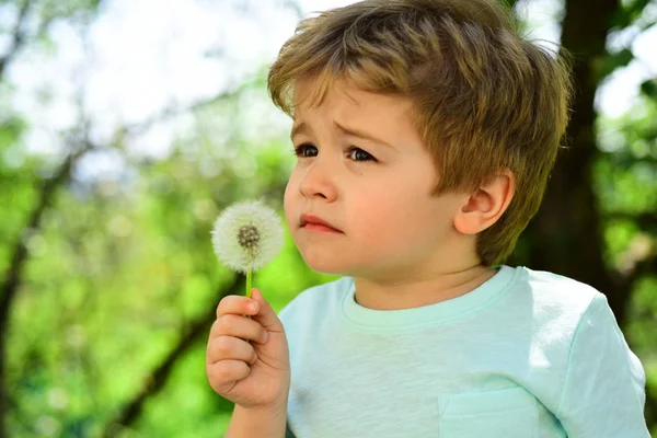 Allergie tijd in het voorjaar en de zomer. Zomer warme dag in Forst. Kind omgeven door bomen waait op kleine paardebloem. Mooie natuur, warme dag en frisse adem. Geur, aroma, bloem ruikt slecht — Stockfoto