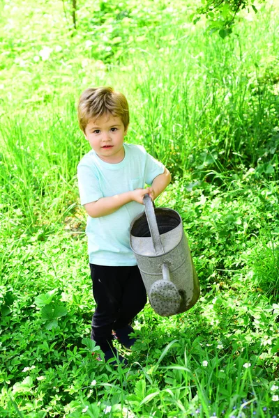 Manos regando las plantas con una lata de metal. Lindo niño regando plantas en el jardín en el día soleado de verano. Riego manual de una planta con regadera . — Foto de Stock