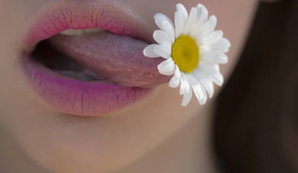 Vegan lifestyle. Oral sex. Free happy woman. Seductive woman face. Model face. Fashion girls. Tongue and mouth, sexy lips. Flower of chamomile in the woman mouth. Blowjob