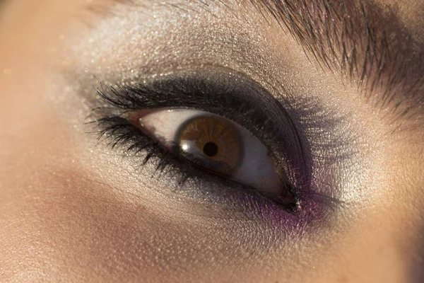 Eye woman look, makeup for young women. Brown eye with purple makeup. Black mascara, sparckle eye shadow. Beautiful shape of female eye with purmple and black proffesional make-up. Surprised pupil