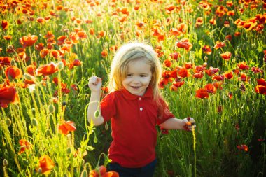 Güzel okul öncesi sarışın çocuk çocuk kırmızı Poppies tarlasında kalmak ve gülümseyen. Anneme küçük bir el hediyesi. Okul öncesi eğitim çocuklar için ekoloji öğretim.
