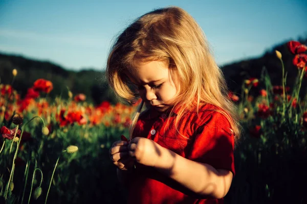 ポピー畑の小さな子供。野生の花と美しさのフィールドに甘い小さな男の子。夏ムード. — ストック写真