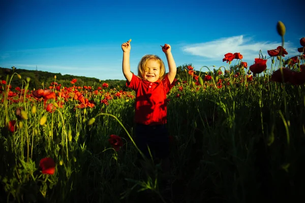 Cute child boy in poppy field. Very happy child kid in poppy field. Boy in poppies. Beautiful summer day in nature — Stock Photo, Image