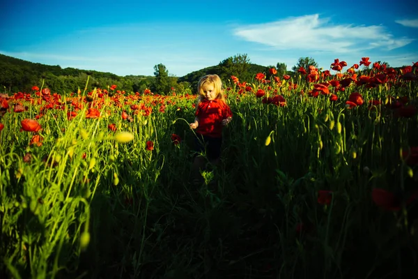 Child in flower poppies backgound. Childhood in nature, health and beauty. Childrens walk on the field. Childhood in the village. Field with red poppies and white child with long hair, happiness — Stock Photo, Image
