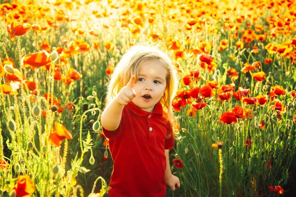 Child shows a finger on something ahead. A beautiful boy in a poppy field is happy and shows happy emotions. Red flowers and emotional child. Happiness for children. Children background — Stock Photo, Image