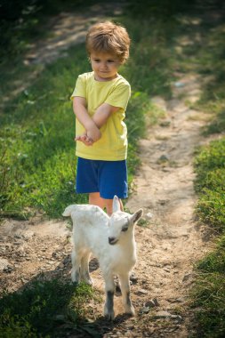 Doğada yenidoğan beyaz keçi ile sevimli bebek. Çiftlik hayvanları ile yaz manzara. Çocuk için keçi sütü. Sağlık, sağlıklı yemek. Doğada yürümek