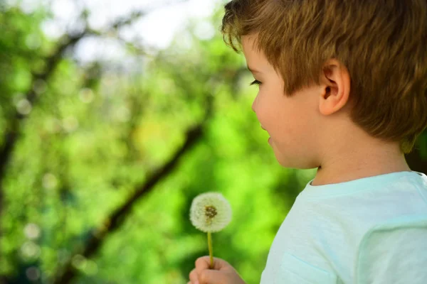 Ανοιξιάτικο παιδικό φόντο. Pollinosis. Πικραλίδα και αγόρι. Ανοιξιάτικη αλλεργία. Κήπος και λουλούδια. — Φωτογραφία Αρχείου