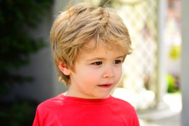 Sevimli çocuk. Küçük çocuk anaokulu. Kırmızı tişörtlü bir çocuk. Beyaz tenli, temiz suratlı. Çocuk yüzü. Portre.