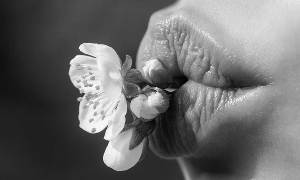 Le printemps. Concept végétalien. Une fleur dans les lèvres d'une jeune fille. Bouche avec plante. Cosmétique naturelle. Belles lèvres, amour et caresse. Délicieux aliments sains. Café. Produits cosmétiques . — Photo