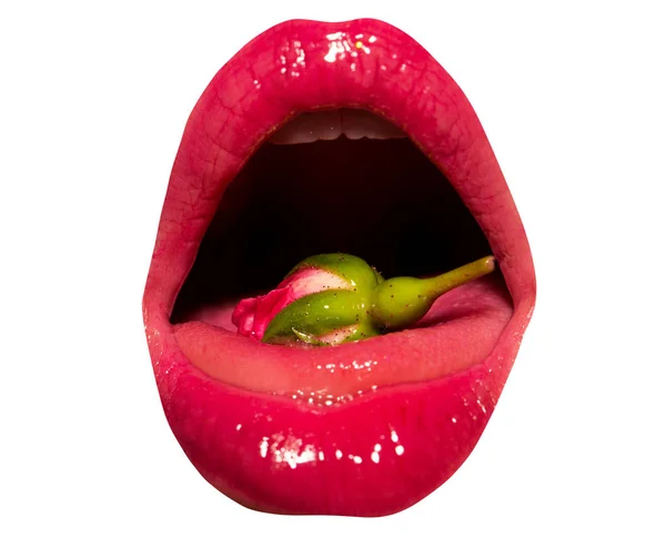 Brillo labial. Cosméticos de alta calidad. Una flor de rosa en la lengua en la boca femenina. Boca sexy aislada sobre fondo blanco. Hermosos labios con maquillaje. Lápiz labial para brillar. Belleza y natural — Foto de Stock