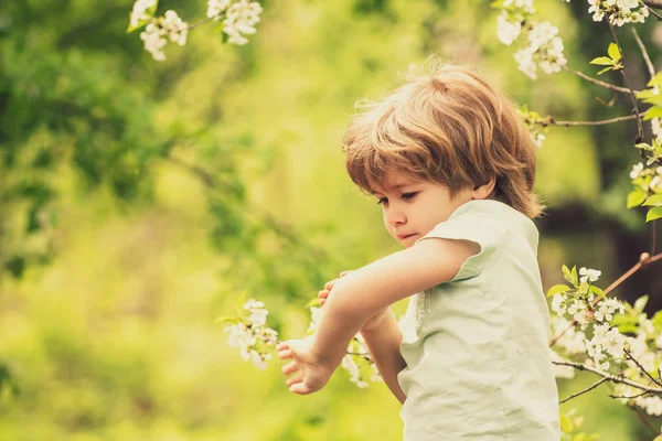 Muggenbeet. Wond. Een beet van een insect. Lente in het bos. Kind op de achtergrond van de natuur. Scratch. Veilige wandeling in de natuur. Spray tegen muggen en insecten. — Stockfoto