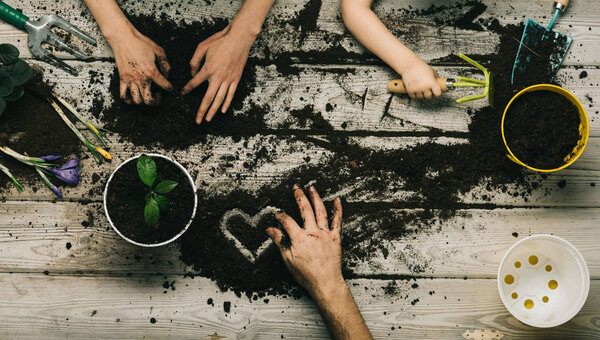 Love. Nature. Family concept. Man, woman and child. Garden. Home plants.