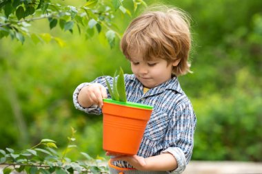 Saksılı bir çocuk. Doğanın arka planında küçük çocuklar. Bahçe. Yaz.