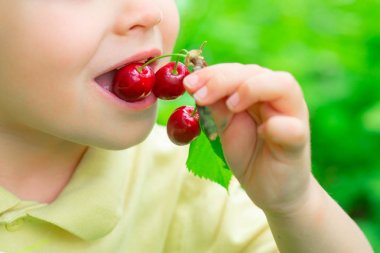 Çocuk kiraz yiyor. Sağlıklı yiyecekler. Bahçede meyveler. Çocuklar için vitaminler. Doğa ve hasat.