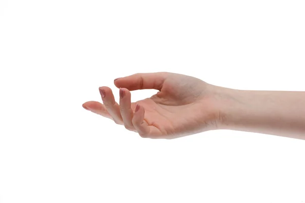 Mão feminina sobre um fundo branco. Pedir, dar, receber . — Fotografia de Stock