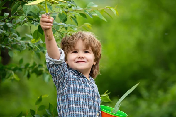 Gärtner. Garten. Produkte für den Gemüsegarten. Landhaus. Knabenpflanzen. Kind auf dem Hintergrund der Natur mit einer Spachtelschaufel. — Stockfoto