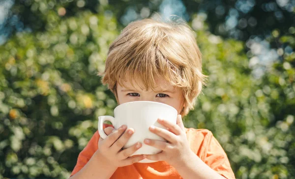 Ребенок пьет из белой чашки. Молоко на завтрак. Обед на природе. Пикник . — стоковое фото