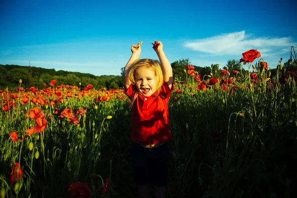 Child in flower red field. Happy kid enjoy summer nature — Stock Photo, Image