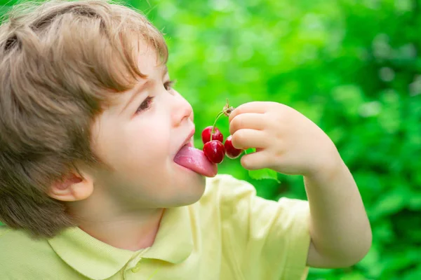 Cherry taste. The boy eats summer fruits. Cherry season. Fruits and berries for children. — Stock Photo, Image