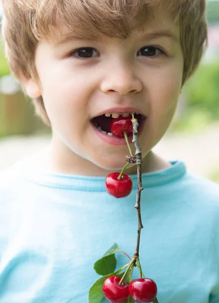 Summer harvest. Cherries. The child eats cherries. Vitamins. Summer in the garden. Vertical photo. Baby food. Health. — Stock Photo, Image