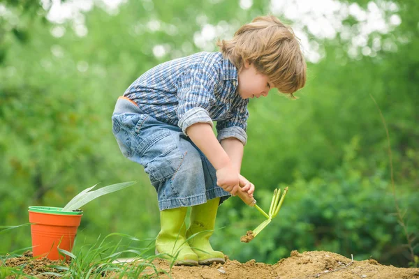 Sonbahar işi. Kürekli çocuk, bahçıvanlık. Hasat için arazi kazıyor. Bahçe konsepti. Sevimli çocuk ve doğa. — Stok fotoğraf